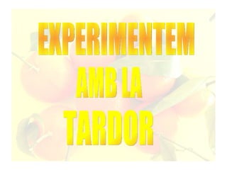 EXPERIMENTEM AMB LA TARDOR 