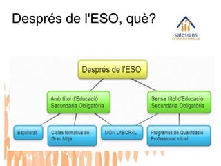 Després de l'ESO, què?
 