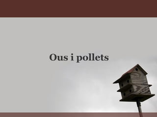 Ous i pollets
 