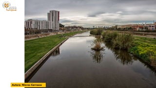 Autora: Nieves Carrasco
 