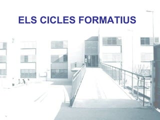 ELS CICLES FORMATIUS
 