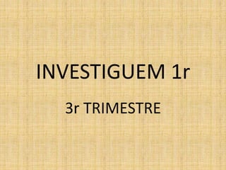 INVESTIGUEM 1r
3r TRIMESTRE
 