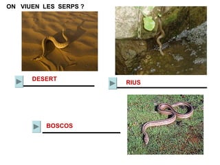 ON VIUEN LES SERPS ?
DESERT
RIUS
BOSCOS
 