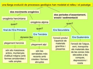 dos moviments orogènicsdos moviments orogènics
orogènia hercinianaorogènia herciniana
final de l’Era Primària
són els massissos
antics, muntanyes
d’altitud mitjana amb
formes arrodonides i
valls amples
quan?
plegament alpí
quan?
Era Terciària
són les
serralades més
recents amb
crestes i formes
abruptes
plegament hercinià
orogènia alpinaorogènia alpina
dos períodes d’assentament,
erosió i sedimentació
dos períodes d’assentament,
erosió i sedimentació
Era Secundària
Era Quaternària
quan?
l’erosió produí
l’aparició de
materials
granítics i
pissarres
l’erosió de l’aigua,
vent, transporta
els materials des
de les zones més
elevades a les
conques,
depressions i
costa
una llarga evolució de processos geològics han modelat el relleu i el paisatgeuna llarga evolució de processos geològics han modelat el relleu i el paisatge
donaren lloc
 