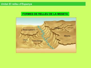 Unitat El relleu d’Espanya
FORMES DE RELLEU DE LA MESETAFORMES DE RELLEU DE LA MESETA
 
