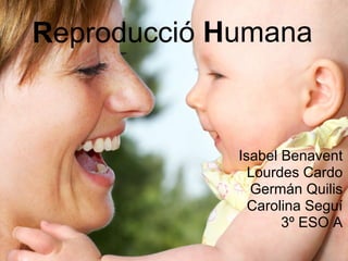 Reproducció Humana



             Isabel Benavent
               Lourdes Cardo
               Germán Quilis
               Carolina Seguí
                    3º ESO A
 