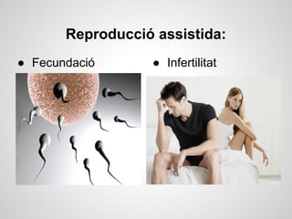 Reproducció assistida:
● Fecundació      ● Infertilitat
 