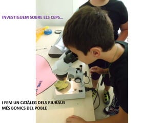 INVESTIGUEM SOBRE ELS CEPS…




I FEM UN CATÀLEG DELS RIURAUS
MÉS BONICS DEL POBLE
 