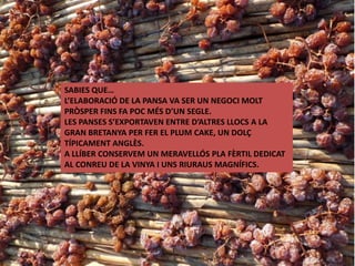 SABIES QUE…
L’ELABORACIÓ DE LA PANSA VA SER UN NEGOCI MOLT
PRÒSPER FINS FA POC MÉS D’UN SEGLE.
LES PANSES S’EXPORTAVEN ENTRE D’ALTRES LLOCS A LA
GRAN BRETANYA PER FER EL PLUM CAKE, UN DOLÇ
TÍPICAMENT ANGLÈS.
A LLÍBER CONSERVEM UN MERAVELLÓS PLA FÈRTIL DEDICAT
AL CONREU DE LA VINYA I UNS RIURAUS MAGNÍFICS.
 