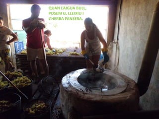 QUAN L’AIGUA BULL,
POSEM EL LLEIXIU I
L’HERBA PANSERA.
 