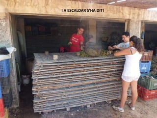 I A ESCALDAR S’HA DIT!
 