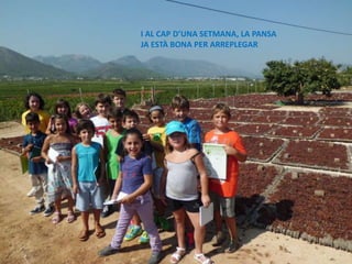 I AL CAP D’UNA SETMANA, LA PANSA
JA ESTÀ BONA PER ARREPLEGAR
 