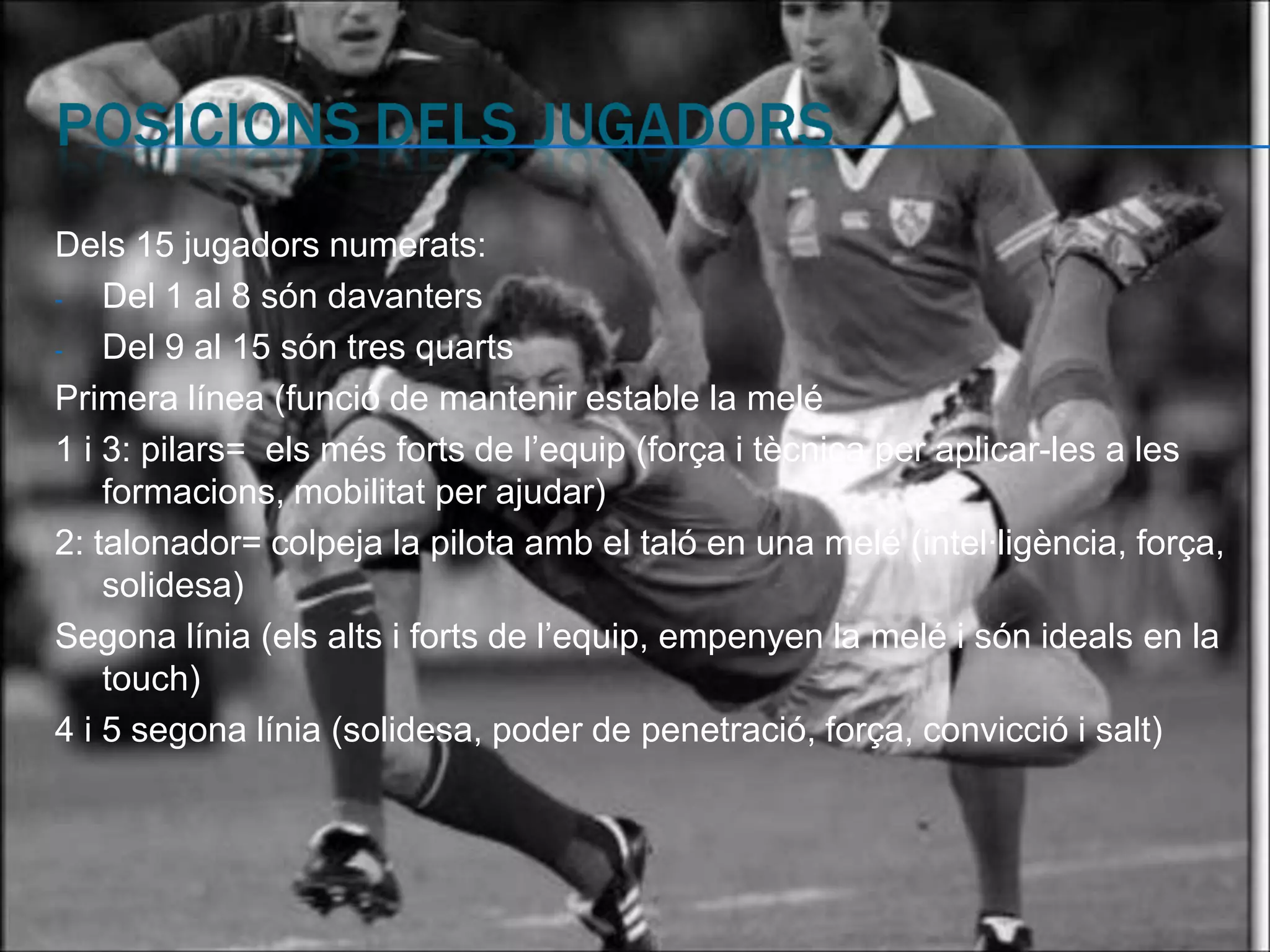 Dels 15 jugadors numerats:
-   Del 1 al 8 són davanters
-   Del 9 al 15 són tres quarts
Primera línea (funció de mantenir estable la melé
1 i 3: pilars= els més forts de l’equip (força i tècnica per aplicar-les a les
    formacions, mobilitat per ajudar)
2: talonador= colpeja la pilota amb el taló en una melé (intel·ligència, força,
    solidesa)
Segona línia (els alts i forts de l’equip, empenyen la melé i són ideals en la
    touch)
4 i 5 segona línia (solidesa, poder de penetració, força, convicció i salt)
 