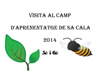 VISITA AL CAMP
D'APRENENTATGE DE SA CALA
2014
5è i 6è
 