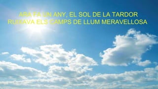 ARA FA UN ANY, EL SOL DE LA TARDOR
RUIXAVA ELS CAMPS DE LLUM MERAVELLOSA
 