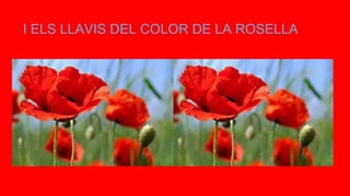I ELS LLAVIS DEL COLOR DE LA ROSELLA
 