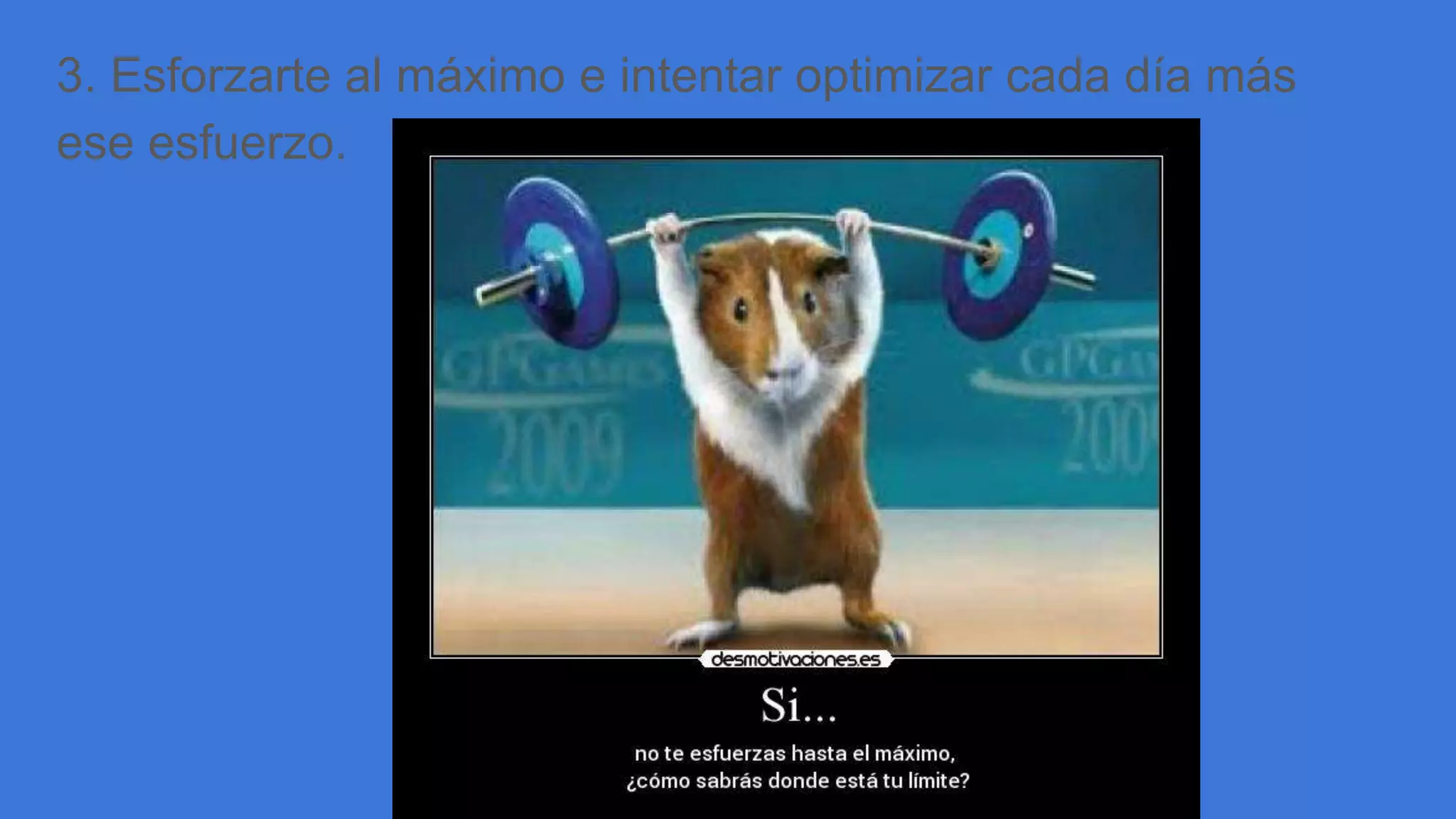 3. Esforzarte al máximo e intentar optimizar cada día más
ese esfuerzo.
 