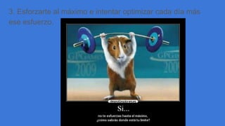 3. Esforzarte al máximo e intentar optimizar cada día más
ese esfuerzo.
 