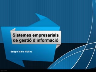 Sistemes empresarials
de gestió d’informació
Sergio Malo Molina
 