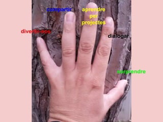 compartir aprendre 
divertir-nos 
per 
projectes 
dialogar 
sorprendre 
 