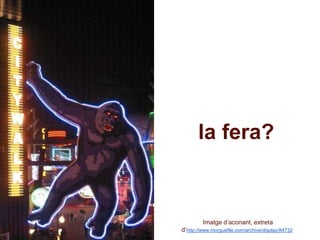 la fera? 
IImatge d’aconant, extreta 
d’http://www.morguefile.com/archive/display/84732 
