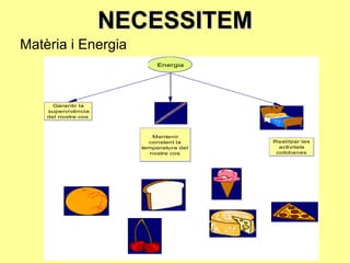 NECESSITEM Matèria i Energia 