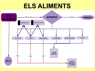 ELS ALIMENTS 