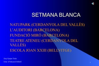 SETMANA BLANCA NATUPARK (CERDANYOLA DEL VALLÈS) L’AUDITORI (BARCELONA) FUNDACIÓ MIRÓ (BARCELONA) TEATRE ATENEU (CERDANYOLA DEL VALLÈS) ESCOLA JOAN XXIII (BELLVITGE) Eloy Gaspar Tolós Grau  d’Educació Infantil 