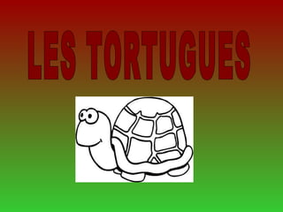 Presentació tortugues