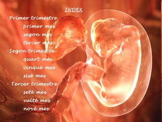 INDEX Primer trimestre  primer mes segon mes  tercer mes  Segon trimestre  quart mes cinquè mes sisè mes Tercer trimestre  setè mes vuitè mes novè mes 