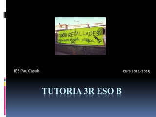 IES Pau Casals curs 2014-2015 
TUTORIA 3R ESO B 
 