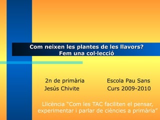 Com neixen les plantes de les llavors? Fem una col·lecció 2n de primària  Escola Pau Sans Jesús Chivite  Curs 2009-2010 Llicència “Com les TAC faciliten el pensar, experimentar i parlar de ciències a primària” 