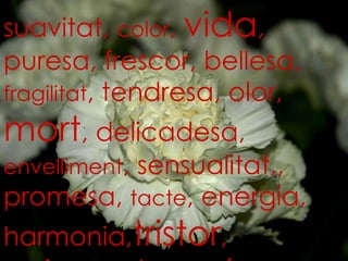 suavitat,  color ,  vida , puresa, frescor, bellesa,  fragilitat , tendresa, olor,  mort , delicadesa,  envelliment , sensualitat,, promesa,  tacte , energia, harmonia, tristor , creixement, procés, neutralitat, caràcter, alegria , culminació, èxit, vivesa,  canvi , … 