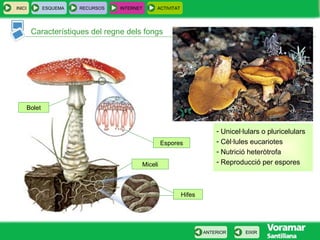 INICI ESQUEMA RECURSOS INTERNET ACTIVITAT
Característiques del regne dels fongs
EIXIRANTERIOR
Espores
Bolet
Miceli
Hifes
- Unicel·lulars o pluricelulars
- Cèl·lules eucariotes
- Nutrició heteròtrofa
- Reproducció per espores
 