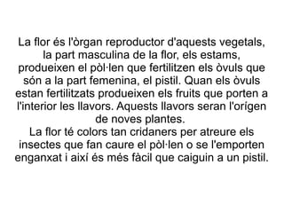 La flor és l'òrgan reproductor d'aquests vegetals,
la part masculina de la flor, els estams,
produeixen el pòl·len que fertilitzen els òvuls que
són a la part femenina, el pistil. Quan els òvuls
estan fertilitzats produeixen els fruits que porten a
l'interior les llavors. Aquests llavors seran l'orígen
de noves plantes.
La flor té colors tan cridaners per atreure els
insectes que fan caure el pòl·len o se l'emporten
enganxat i així és més fàcil que caiguin a un pistil.

 