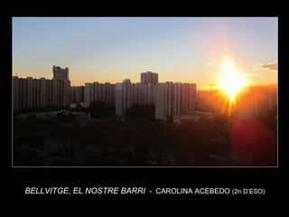 35
BELLVITGE, EL NOSTRE BARRI - CAROLINA ACEBEDO (2n D’ESO)
 