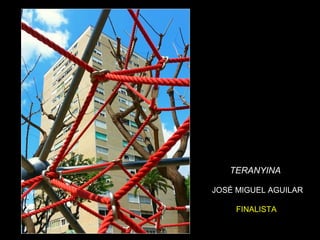 44
TERANYINA
JOSÉ MIGUEL AGUILAR
FINALISTA
 