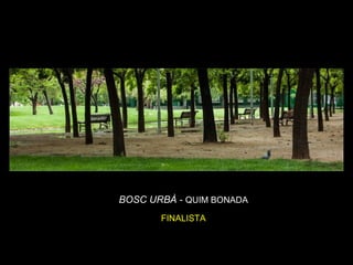 7
BOSC URBÀ - QUIM BONADA
FINALISTA
 