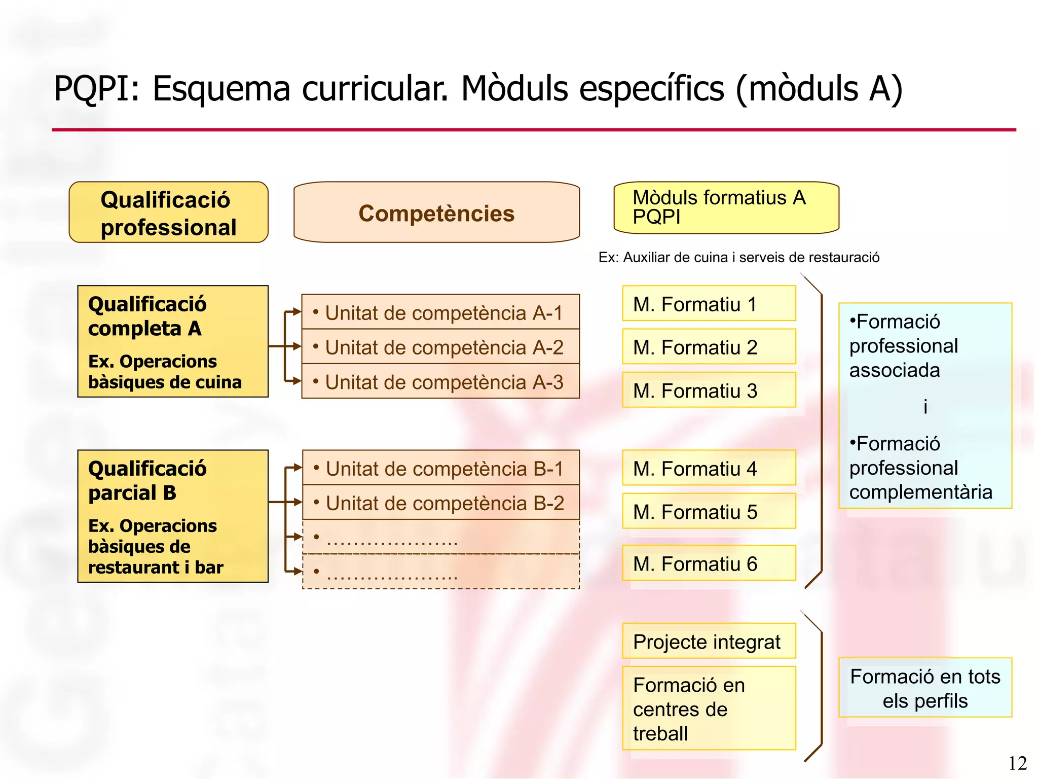 PQPI: Esquema curricular. Mòduls específics (mòduls A) Qualificació professional Competències Mòduls formatius A PQPI Ex: Auxiliar de cuina i serveis de restauració Qualificació completa A Ex. Operacions bàsiques de cuina M. Formatiu 1 Qualificació parcial B Ex. Operacions bàsiques de restaurant i bar M. Formatiu 2 M. Formatiu 3 M. Formatiu 4 M. Formatiu 5 Projecte integrat Formació en centres de treball Formació professional associada  i Formació professional complementària Formació en tots els perfils M. Formatiu 6 Unitat de competència A-1 Unitat de competència A-3 Unitat de competència A-2 ……………… .. Unitat de competència B-1 Unitat de competència B-2 ……………… .. 