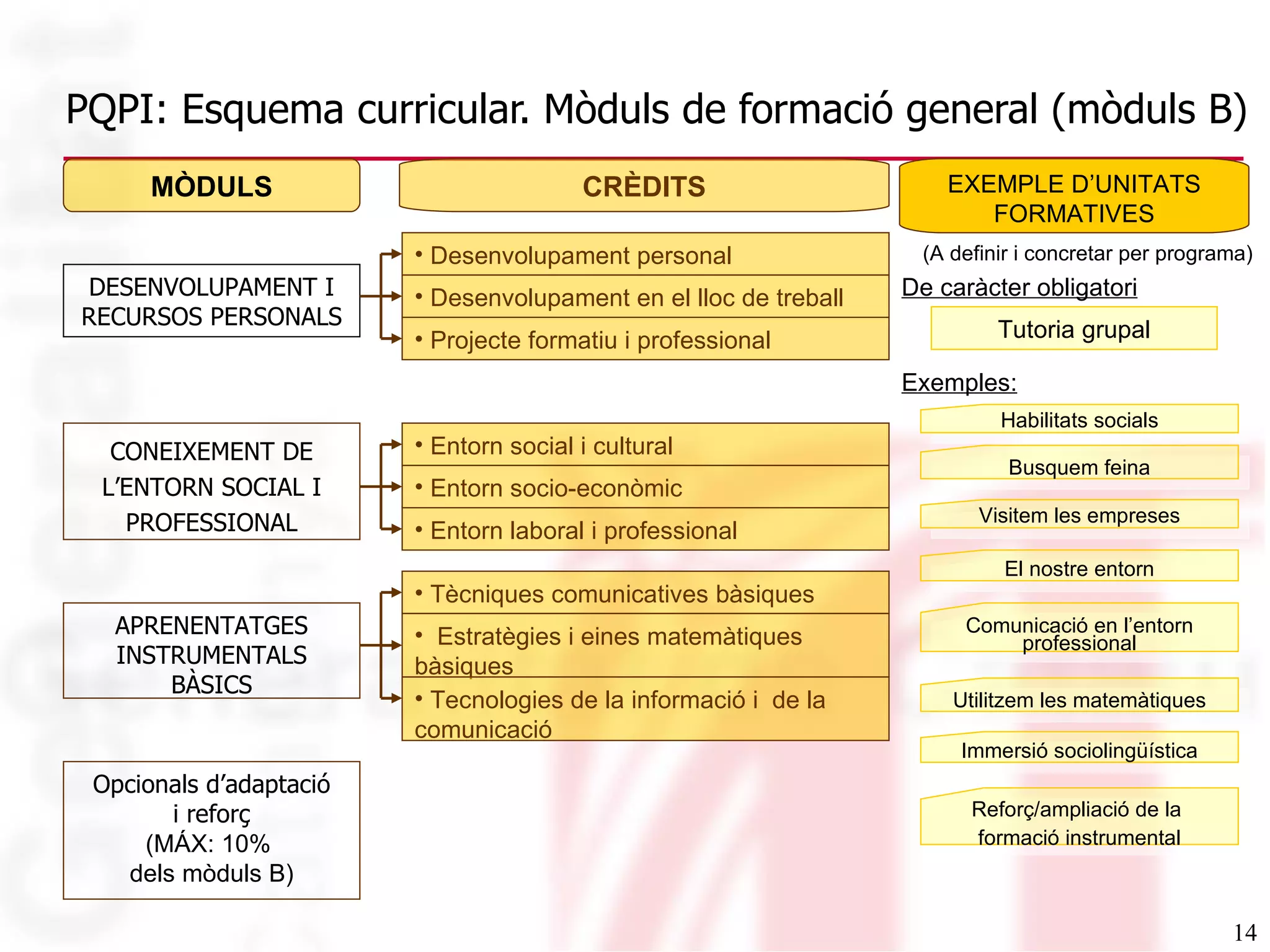 PQPI: Esquema curricular. Mòduls de formació general (mòduls B) MÒDULS CONEIXEMENT DE L’ENTORN SOCIAL I PROFESSIONAL APRENENTATGES INSTRUMENTALS BÀSICS CRÈDITS Desenvolupament personal EXEMPLE D’UNITATS FORMATIVES De caràcter obligatori Exemples: Habilitats socials Busquem feina El nostre entorn Utilitzem les matemàtiques Comunicació en l’entorn professional Visitem les empreses Immersió sociolingüística Reforç/ampliació de la  formació instrumental Opcionals d’adaptació i reforç (MÁX: 10%  dels mòduls B) (A definir i concretar per programa) DESENVOLUPAMENT I RECURSOS PERSONALS Projecte formatiu i professional Desenvolupament en el lloc de treball Tècniques comunicatives bàsiques Estratègies i eines matemàtiques bàsiques Tecnologies de la informació i  de la comunicació Entorn laboral i professional Entorn social i cultural Entorn socio-econòmic Tutoria grupal 