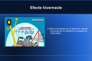 Efecte hivernacle L’efecte hivernacle es un fenomen natural provocat per la existència de gasos en l’atmosfera. 