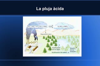 La pluja àcida
 