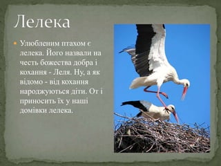  Улюбленим птахом є
лелека. Його назвали на
честь божества добра і
кохання - Леля. Ну, а як
відомо - від кохання
народжуються діти. От і
приносить їх у наші
домівки лелека.
 