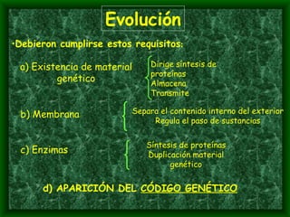 Evolución Debieron cumplirse estos requisitos : a) Existencia de material genético Dirige síntesis de proteínas Almacena Transmite b) Membrana   Separa el contenido interno del exterior Regula el paso de sustancias c) Enzimas d) APARICIÓN DEL  CÓDIGO GENÉTICO Síntesis de proteínas Duplicación material genético 