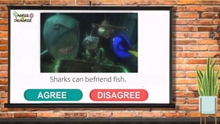 Sharks can befriend fish.
 