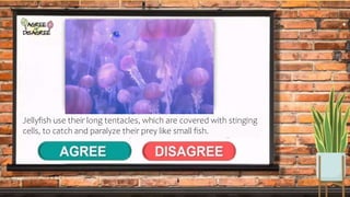 Jellyfish use their long tentacles, which are covered with stinging
cells, to catch and paralyze their prey like small fish.
 