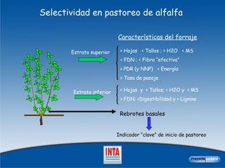 Selectividad en pastoreo de alfalfa Características del forraje > Hojas  < Tallos ; > H2O  < MS < FDN ; < Fibra “efectiva” > PDR (y NNP)  < Energía > Tasa de pasaje  Estrato superior < Hojas  y  > Tallos; < H2O y  > MS > FDN; <Digestibilidad y > Lignina Estrato inferior Rebrotes basales Indicador “clave” de inicio de pastoreo 