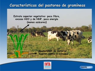 Características del pastoreo de gramíneas Estrato superior vegetativo: poca fibra, exceso H2O y de NNP, poca energía (menos azúcares ) Acumulación de material muerto, limita el consumo 