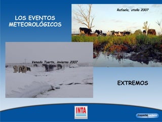 LOS EVENTOS METEOROLÓGICOS EXTREMOS Rafaela, otoño 2007 Venado Tuerto, invierno 2007   