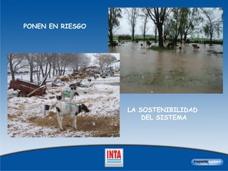 PONEN EN RIESGO LA SOSTENIBILIDAD  DEL SISTEMA 